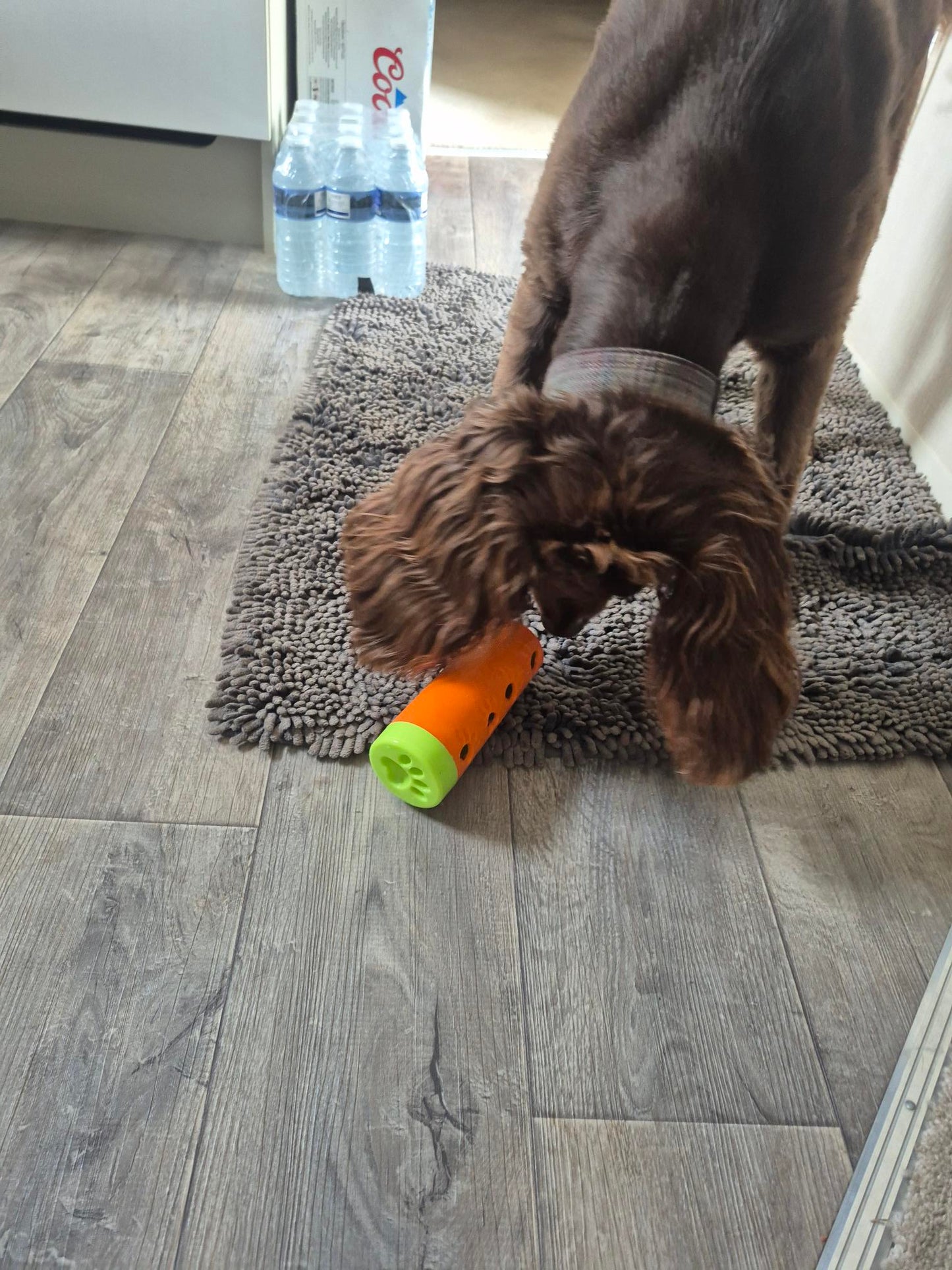 Rubber Treat Dispensing Dog Toy
