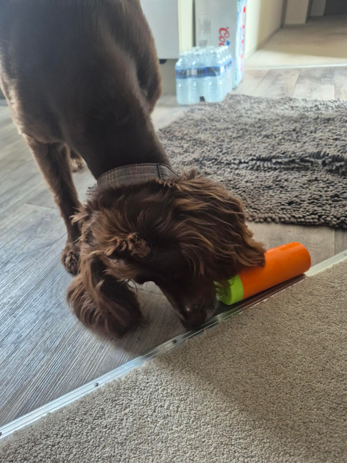 Rubber Treat Dispensing Dog Toy