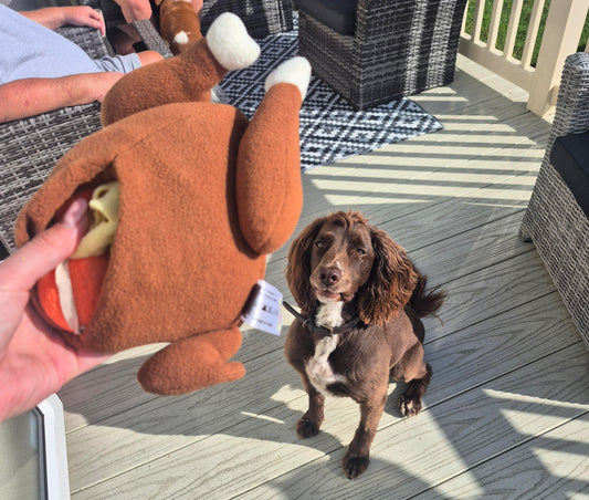 Snuffle Plush Toy Roasted Chicken
