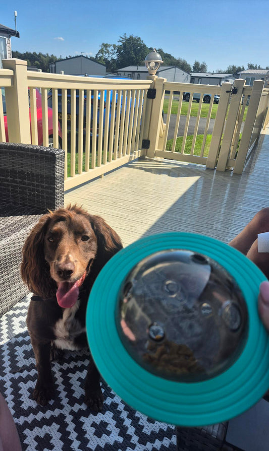 Spaceship Treat Dispenser