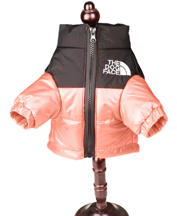 The Dog Face Windproof Jacket