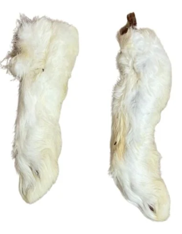 Rabbit Feet