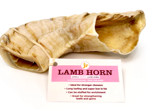 Lamb Horn