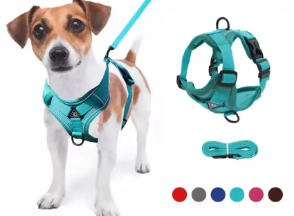 Harness and Lead Set