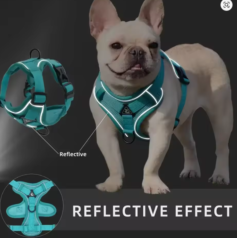 Harness and Lead Set