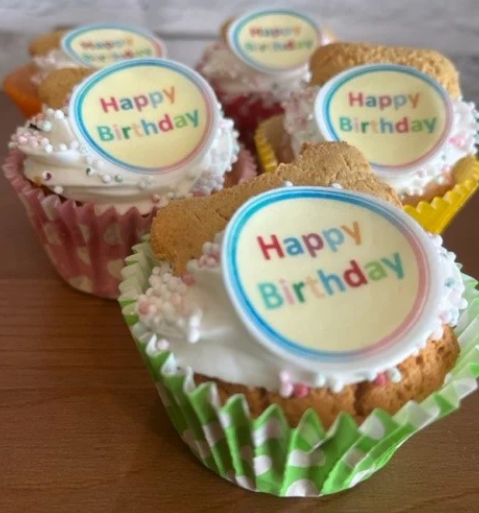 Birthday Pupcake