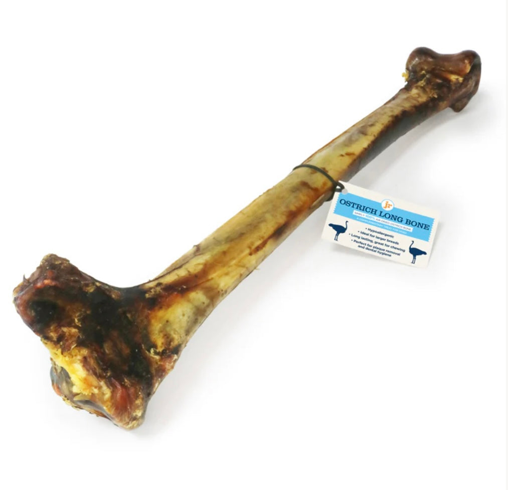 Ostrich Long Bone