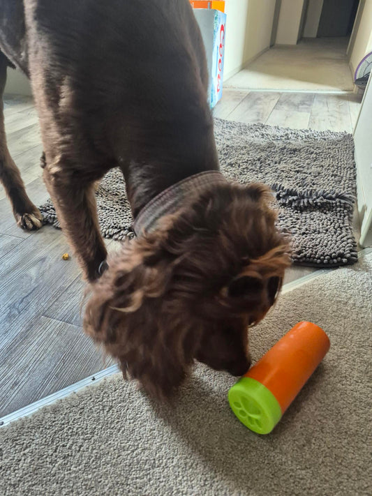 Rubber Treat Dispensing Dog Toy