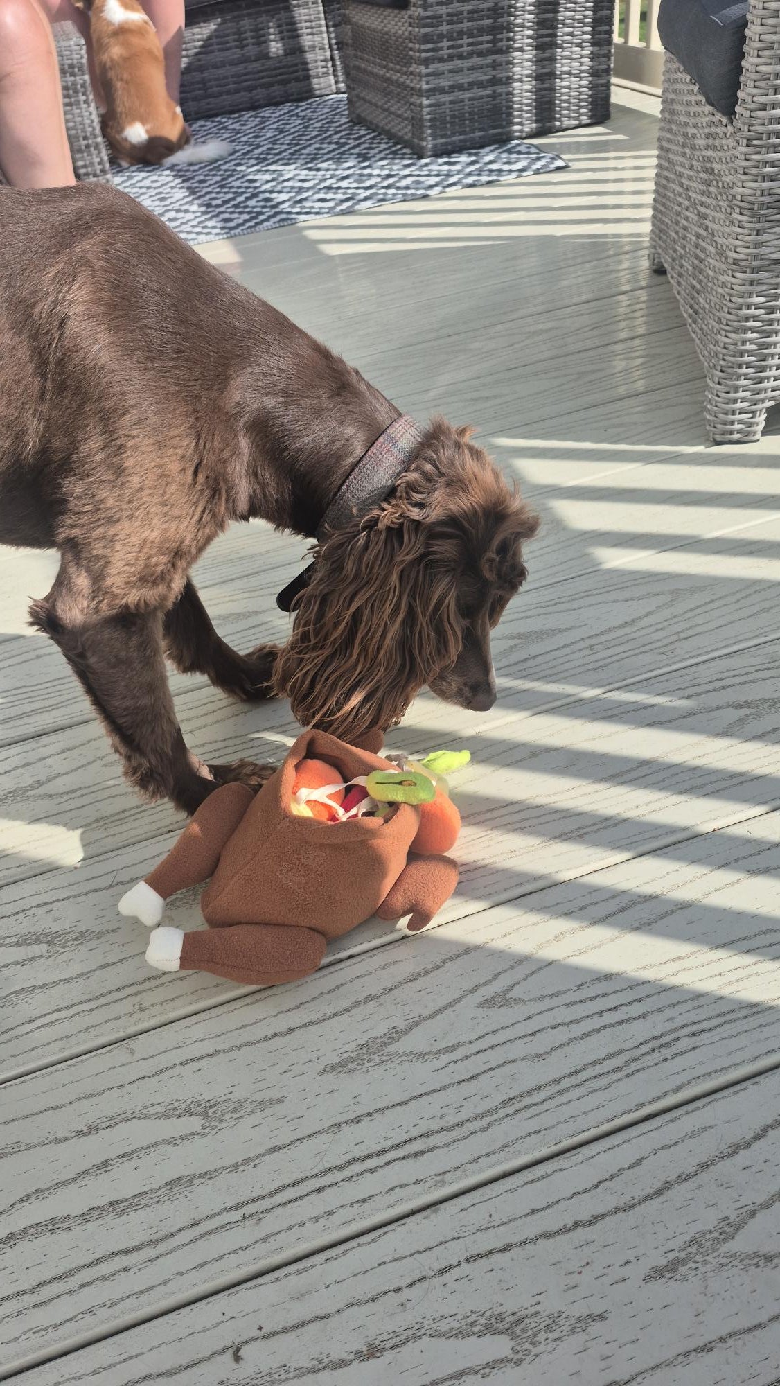 Snuffle Plush Toy Roasted Chicken