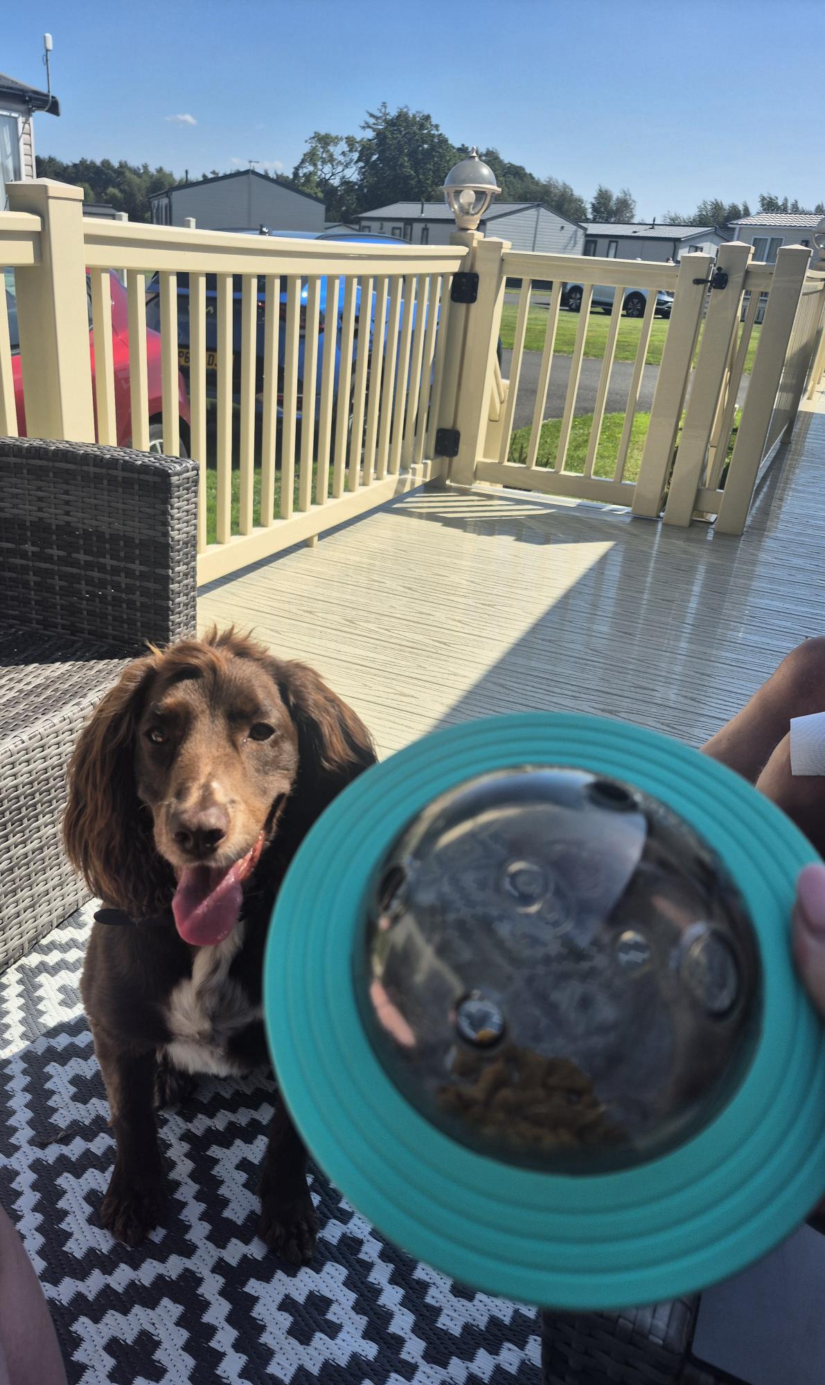 Spaceship Treat Dispenser