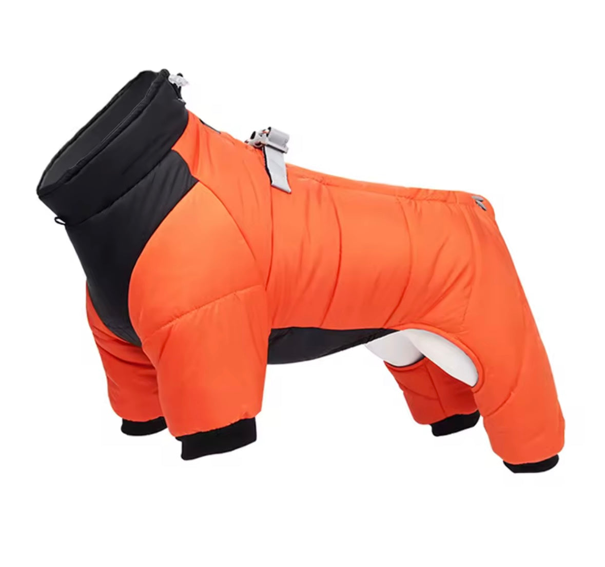Four legged Dog coat