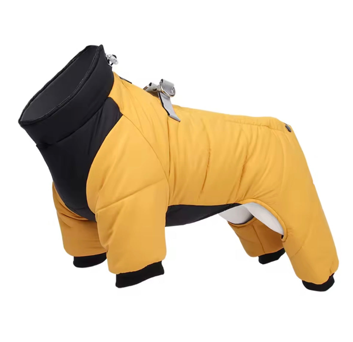 Four legged Dog coat