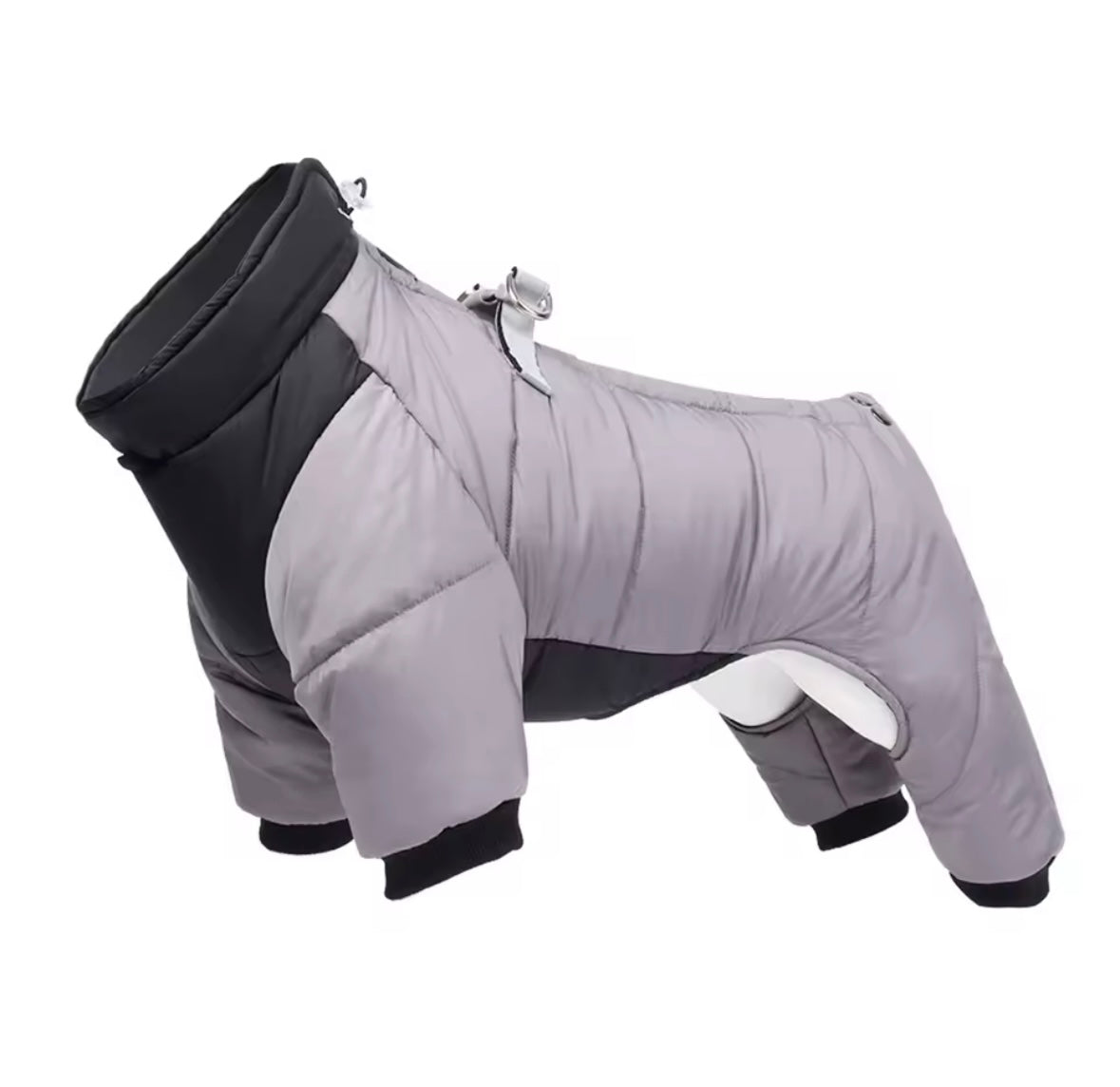 Four legged Dog coat