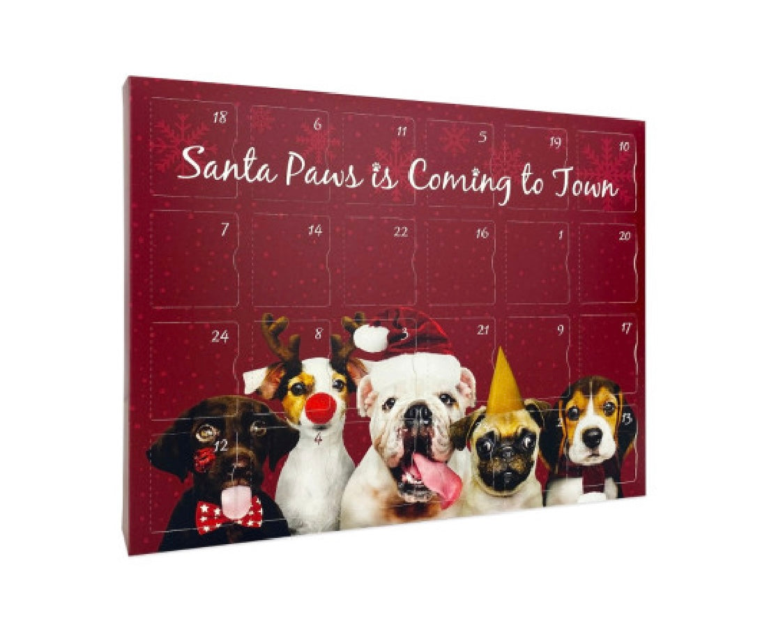 Santa Paws Advent Calendar