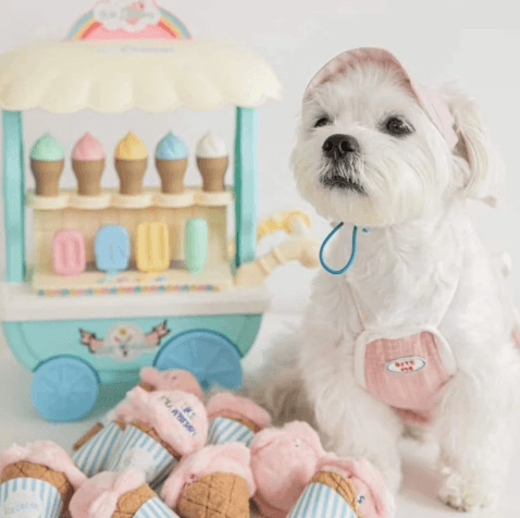 Ice Cream Squeaky Puzzle Feeder