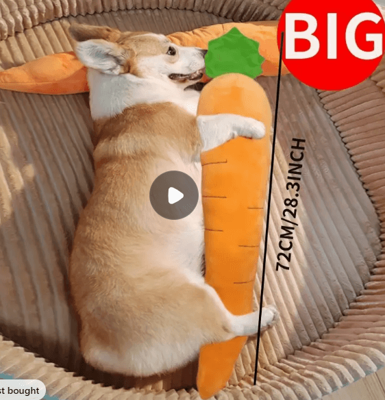 Large Carrot Squeaky Toy