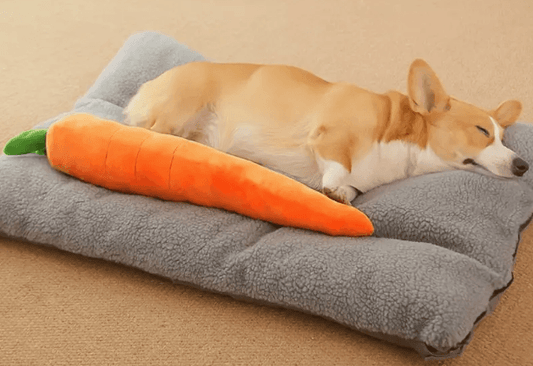 Large Carrot Squeaky Toy