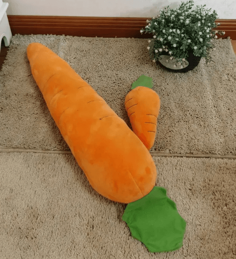 Large Carrot Squeaky Toy