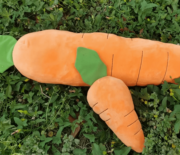 Large Carrot Squeaky Toy