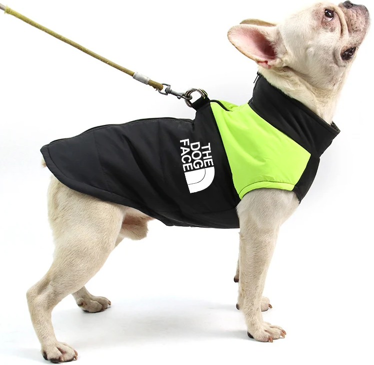 Dog 2024 face jacket