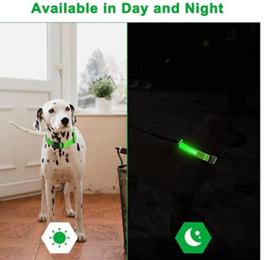 LED Collar