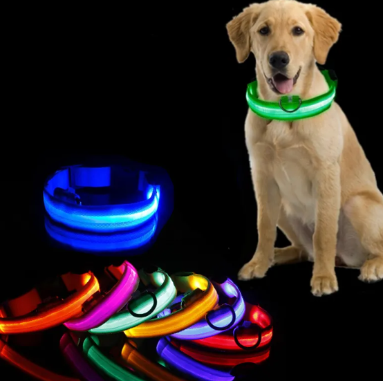 LED Collar