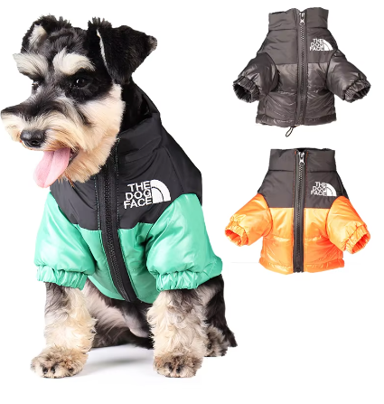 The Dog Face Windproof Jacket