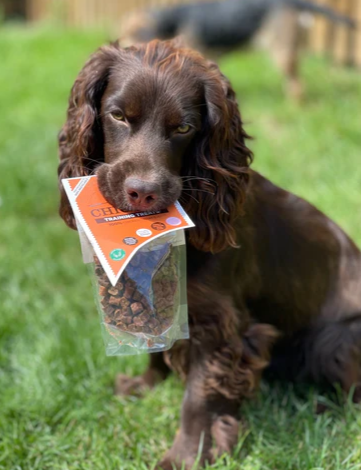 Pure Chicken Training Treats