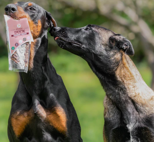 Pure Duck Training Treats