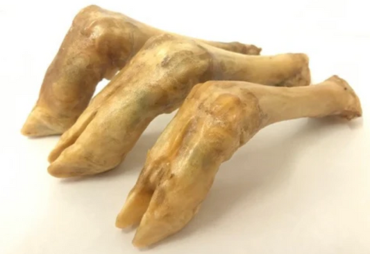 Lamb Trotters