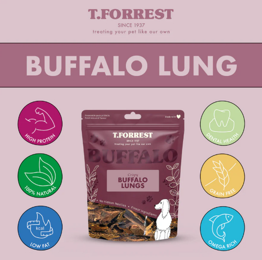 Buffalo Lung