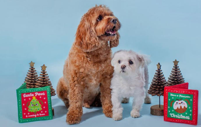 Crinkle Christmas card plush toy