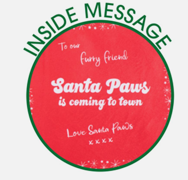 Crinkle Christmas card plush toy