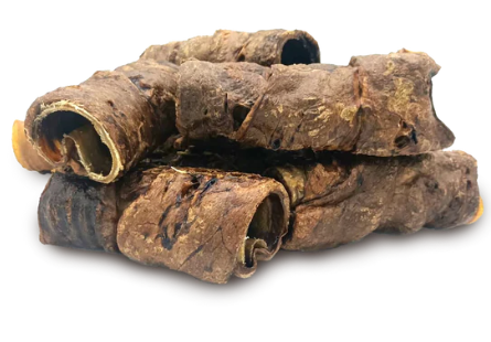 Buffalo Wrapped Trachea Lung