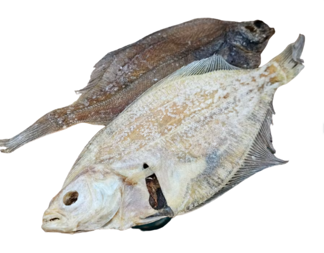 Full Plaice