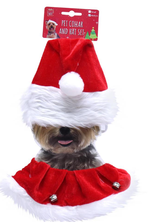 Pet Collar and Hat Set