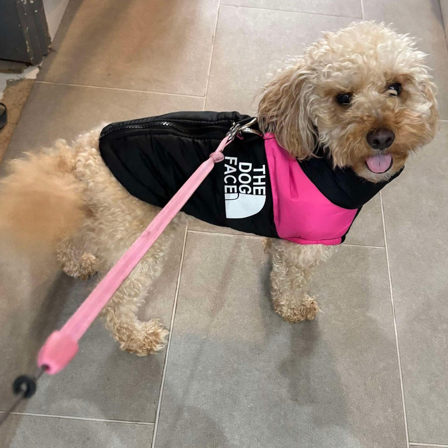 The Dog Face Puffer Jacket