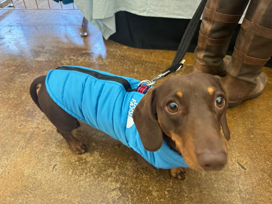 The Dog Face Vest Jacket