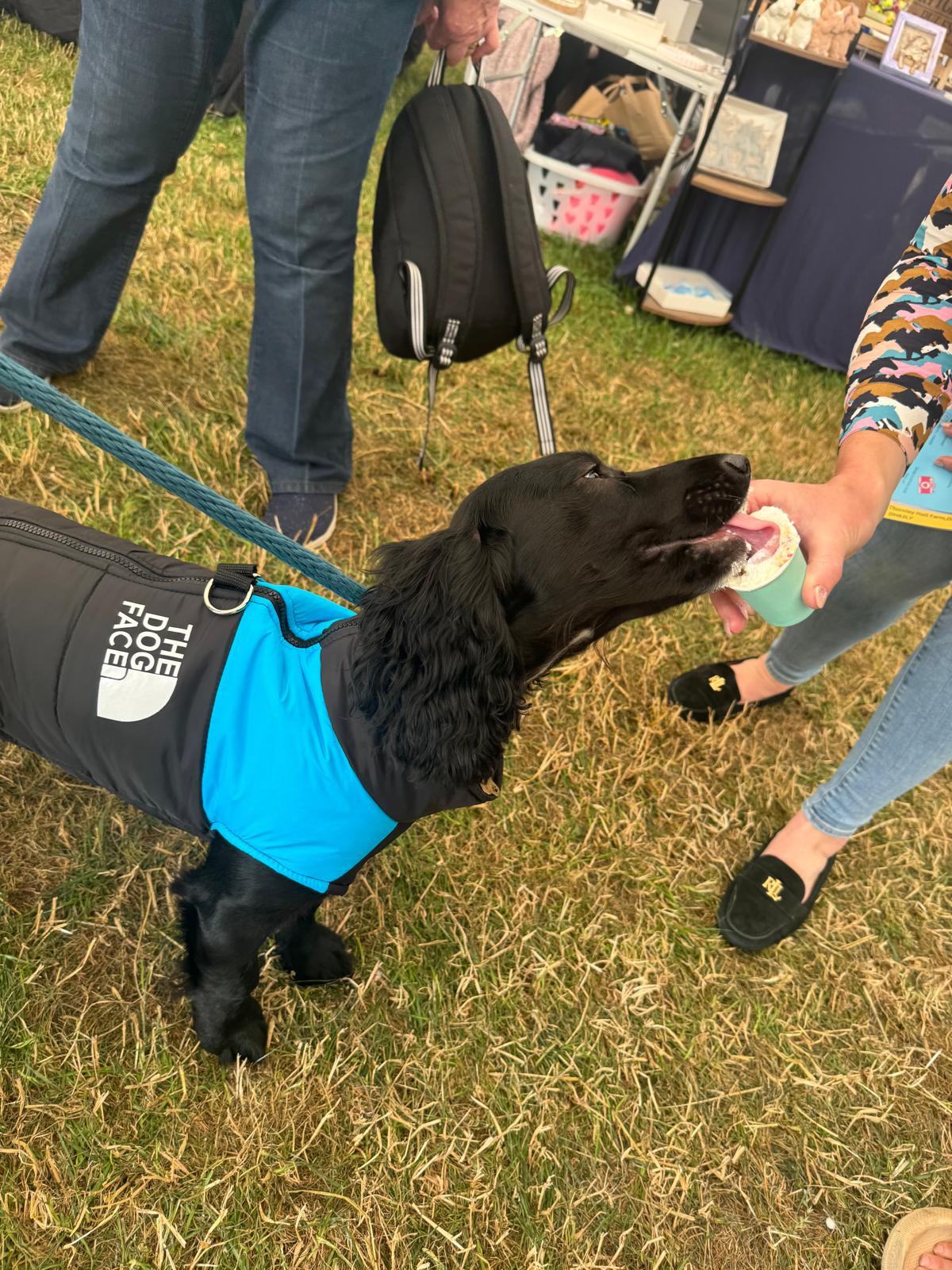 The Dog Face Puffer Jacket