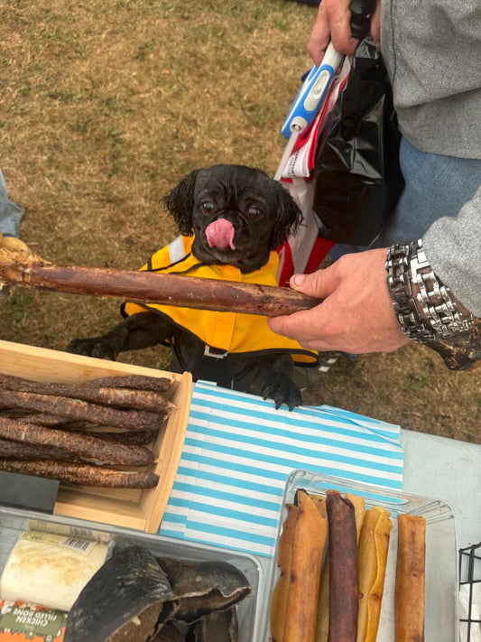 Ostrich Long Bone