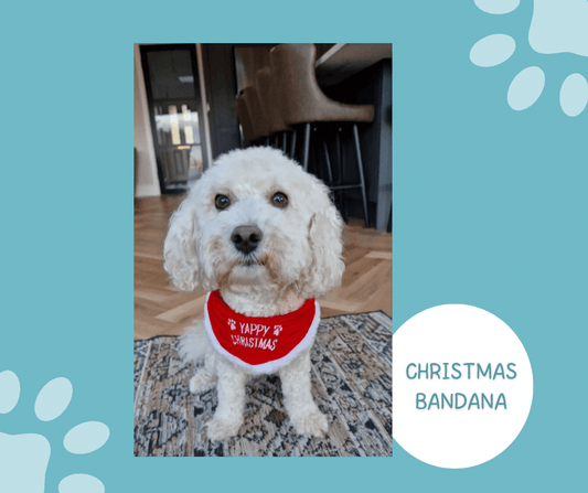 Yappy Christmas Pet Bandana