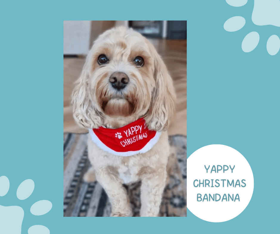 Yappy Christmas Pet Bandana